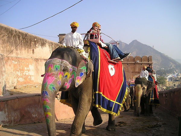 Racconti_di_viaggio_Jaipur_elefante