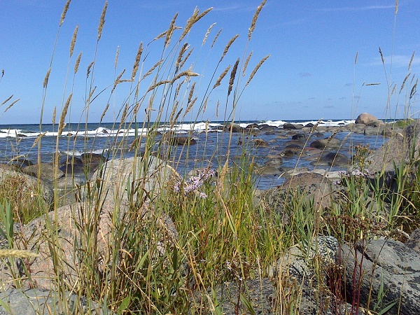 Una vista dell'oceano lungo la costa di un'isola della Svezia.