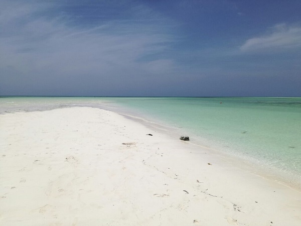 Il viaggio di Angela in Kenya era iniziato per raggiungere una spiaggia bianca, ma poi ha scoperto un mondo,