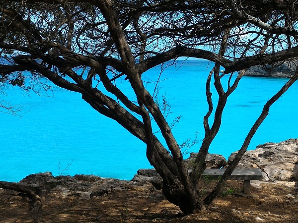 Il clima ai Caraibi nella seconda metà di marzo? La nostra estate ideale.