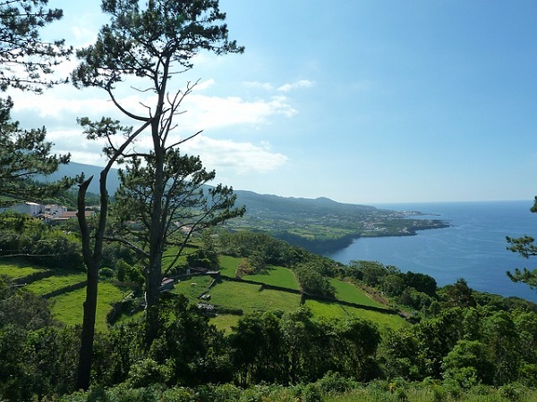 I giganti del mare per i sub e la natura rigogliosa per i non sub: ecco le proposte di Pico, nelle Azzorre.