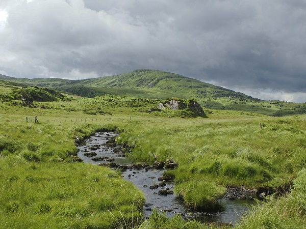 Ovunque ti giri, l'Irlanda offre prati immensi di un verde inconfondibile.