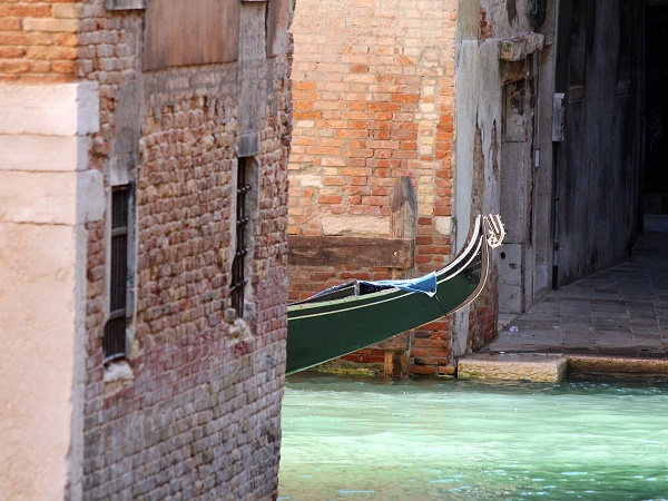 La passione per la città che queste pagine trasmettono ci rende Venezia quasi familiare.