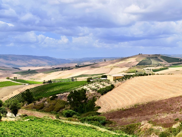 Poggioreale e Tre Fontane sono approdi sicuri in cui sostare prima di riprendere il viaggio attraverso la Sicilia con i suoi panorami aspri e la sua bellezza antica.