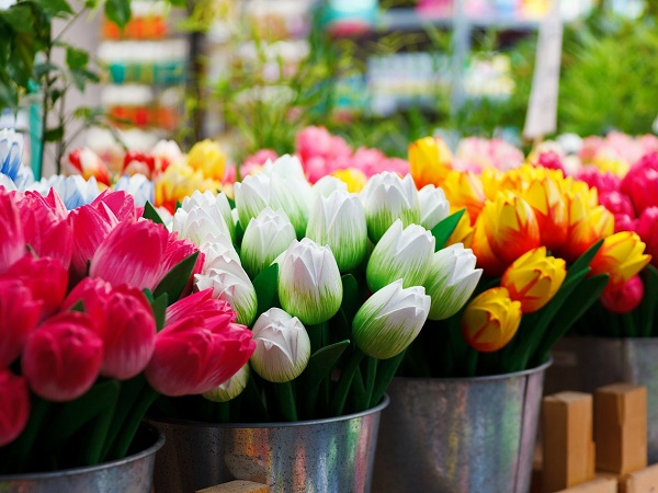 La Bollenstreek o strada dei fiori è un percorso di 30 km compreso tra Leiden e Haarlem e raggiungibile in un'ora di viaggio partendo da Amsterdam.