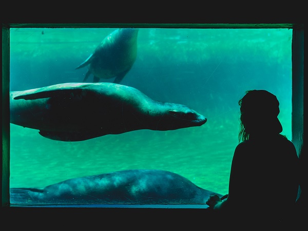 L’Amsterdam Royal Zoo è un immenso giardino punteggiato da edifici storici, proprio nel centro della città. Ogni anno organizza la caccia alle uova di Pasqua.