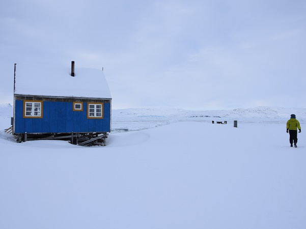 Non è necessario percorrere lunghe distanze né essere allenati camminatori per potersi godere i paesaggi groenlandesi invernali. 