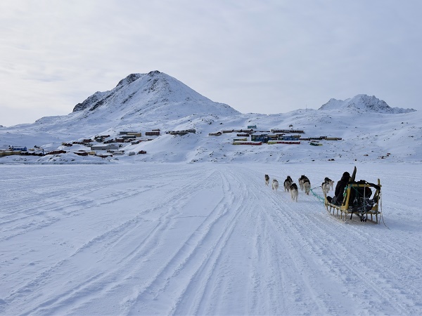 Il mezzo di spostamento tradizionale in Groenlandia in inverno è la slitta trainata dai cani. 