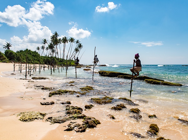 In alcuni luoghi viene praticato il tradizionale e insolito “stilt fishing”, un modo di pescare unico al mondo. 