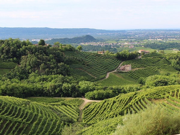 Il Festival del viaggiatore di Asolo unisce eventi culturali che prendono spunto dal territorio al premio letterario Segafredo Zanetti.