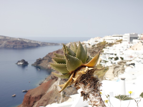 Nonostante sia meta di turisti che provengono da ogni parte del mondo, Santorini ha mantenuto la sua autenticità.