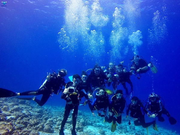 La chiave del successo è stata la decisione di soggiornare in una guest house; nel nostro caso, essendo per la maggior parte subacquei, ne abbiamo scelta una fornita anche di diving.