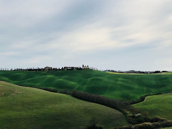 In direzione di Siena, la val d’Orcia ci stupisce di nuovo e non possiamo fare a meno di fermarci a osservare le colline.