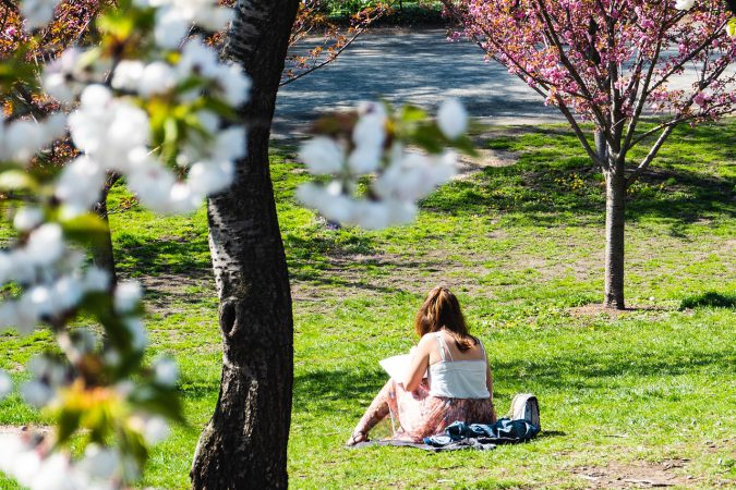 New York non è solo grattacieli e ponti, ma offre anche diverse aree verdi, in cui rifugiarsi dalla frenetica vita della megalopoli.