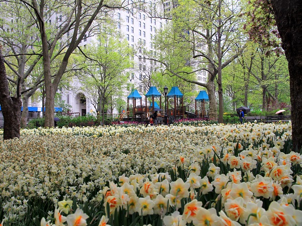 Uno dei luoghi di aggregazione che i newyorkesi preferiscono è il Madison Square Park.