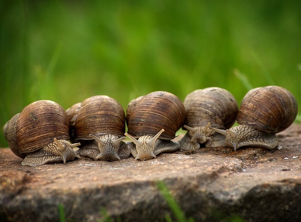 La tribù del viaggio lento raccoglie chi ama muoversi senza limiti di tempo, di mete e di prenotazioni, superando gli ostacoli che incontra sul cammino.