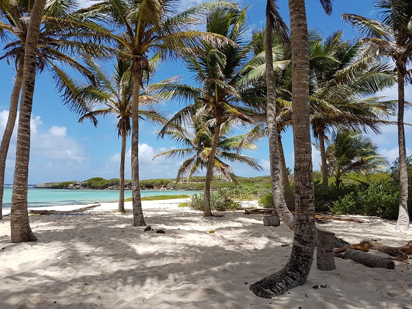 In Guadalupa è il caso di lasciarsi trasportare dalla tranquillità e dalla bellezza naturale di quest’isola vulcanica.