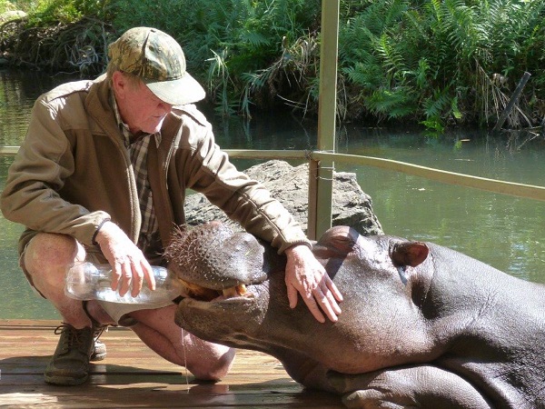 Alcune voci nella lista dei desideri dei viaggiatori sembrano essere viaggi impossibili, come il Sudafrica in combinazione con le Seychelles.