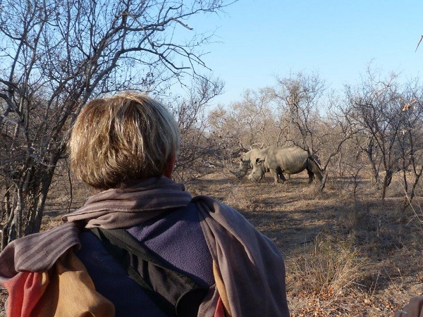 Safari nel Kruger? Grazie all’imprenditorialità italiana all’estero, Giuseppe ha trovato la soluzione ideale.