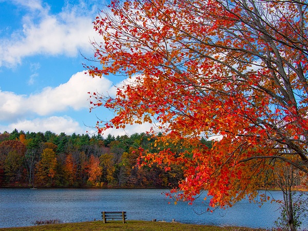 C'è chi è indeciso tra luoghi vicini e lontani, come l'autunno nel New England.