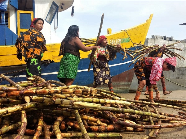 Sebbene i Guna Yala vivano da almeno due secoli nella parte orientale di Panamá, le loro origini sono ancora incerte. 