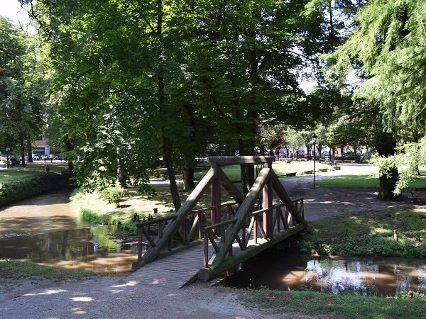 Man mano che le temperature salgono, si combatte il caldo parcheggiandosi sotto le piante dei giardini pubblici Porta Serio o del parco comunale Campo di Marte.