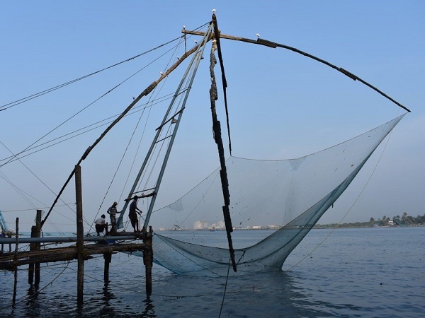 Nel Kerala le risaie sono proprio a ridosso delle immense spiagge sabbiose, delimitate da canali dove si pratica la pesca con quelle che vengono chiamate “reti cinesi”.