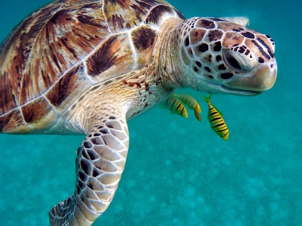 Maldive Abiti E Scarpe No Grazie Il Blog Di Racconti Di Viaggio