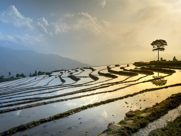 Lungo il percorso ammiriamo i meravigliosi paesaggi delle risaie.