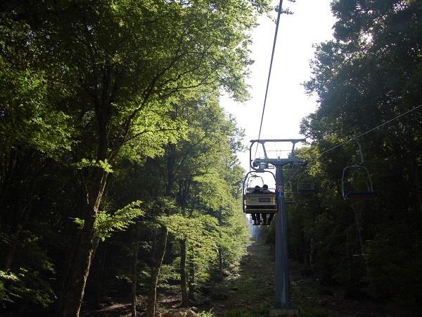 Ma l’esperienza del Parco della Madonie non si esaurisce nella visita dei 15 paesi che ne fanno parte, tante sono le attività che si possono svolgere al suo interno.