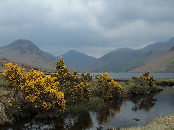 Attraversando Buttermere e Keswick penso a Beatrix Potter, l’illustratrice che scelse proprio queste zone per creare le sue storie fantastiche, e mi risulta facile condividerne l’ispirazione.