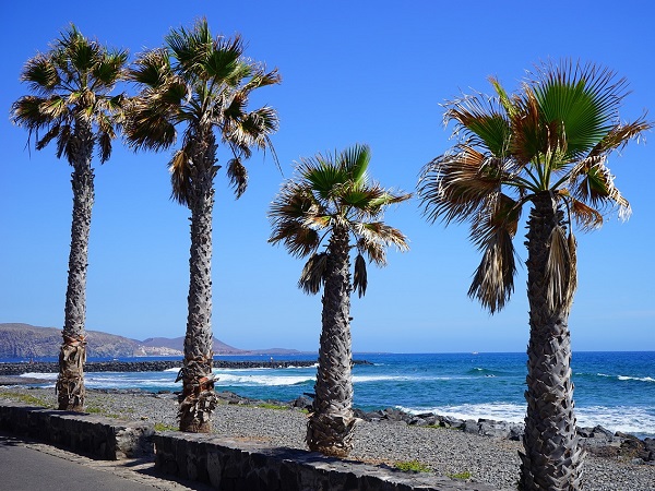 In vista del Natale consiglio Tenerife: volo di medio raggio e destinazione che garantisce temperature ottimali anche per chi ha problemi di termoregolazione. E poi, dopo più di vent’anni di investimenti per rendere l’isola accessibile, i risultati si vedono.