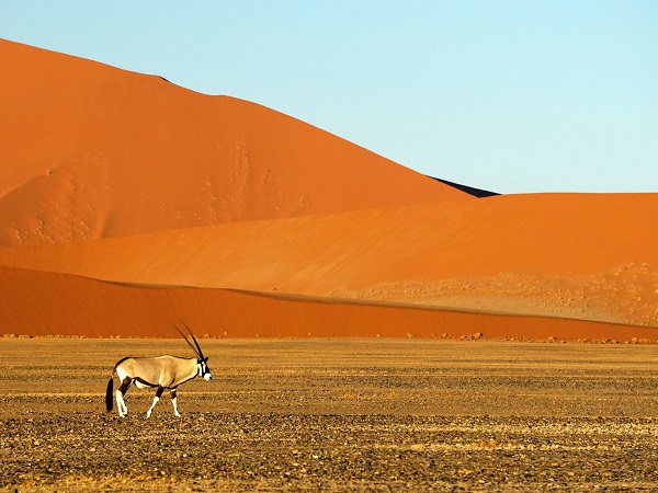 Valeria consiglia la struggente e selvaggia Namibia, per un assaggio di Africa senza rinunciare al comfort. 