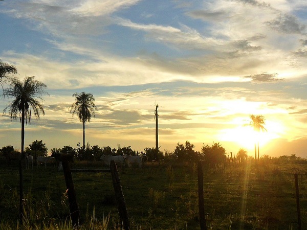 Il Paraguay è una delle mete meno visitate dell’America Latina e, quindi, una delle più pure ed esclusive sia dal punto di vista naturalistico sia da quello culturale.