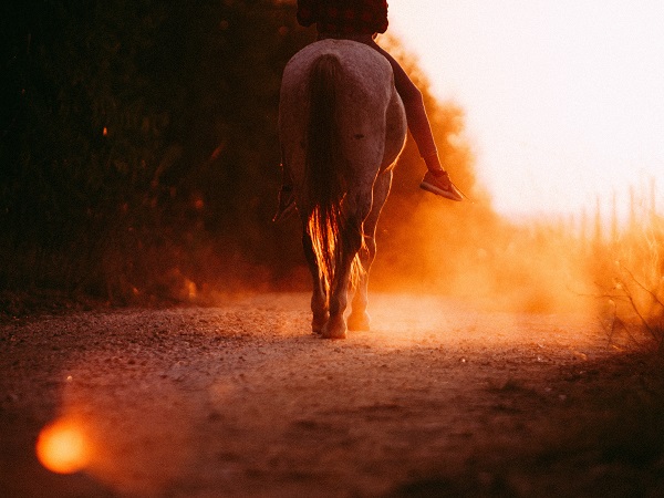 Per chi vuole il viaggio infinito ed è incazzato con il COVID-19 e non sa come sfogarsi, abbiamo una proposta: un viaggio a cavallo, ma delle parole.