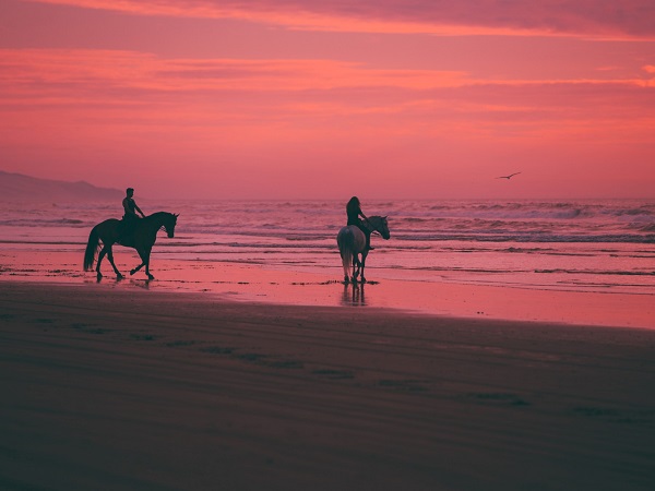 A proposito di viaggio a cavallo delle parole, il Touring Club Italiano ha pubblicato a oggi (7 aprile) 23 tappe di un viaggio tutto di parole lungo tutti i continenti.