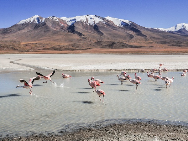 Gloria Bava è stata in Bolivia e il ricordo del viaggio le ha fatto compagnia durante il lockdown di inizio 2020. Le abbiamo chiesto di raccontarcelo.