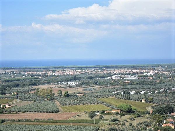 Castagneto Carducci fa da vedetta al mare dall'alto di una collina.