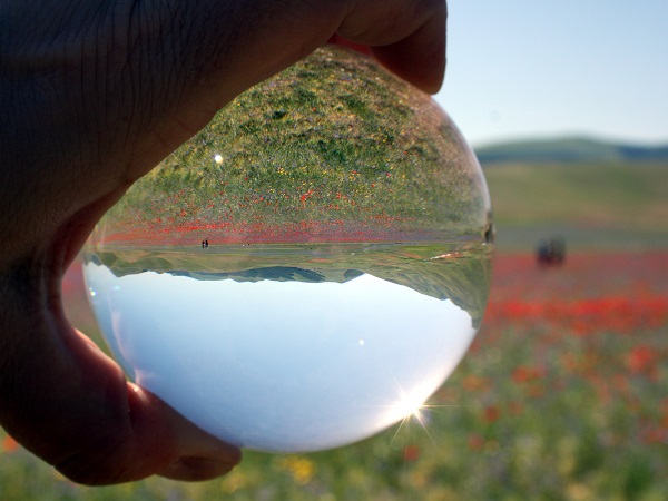 Visitare Castelluccio in giornata? Partenza a mezzanotte, arrivo la mattina, esplorazione dei campi fioriti con tanto di video e reportage fotografico da ogni angolazione, ritorno.