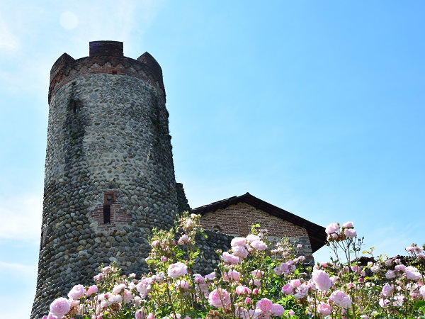 Ogni due anni, in primavera, Ricetto di Candelo diventa un giardino a cielo aperto per la manifestazione Candelo in fiore, a Natale è il borgo di Babbo Natale e a settembre, con Vinincontro, celebra il vino dell'alto Piemonte e i sapori biellesi.