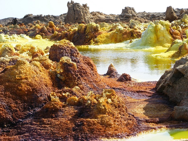 La cimice verde pare che arrivi dall'Etiopia e mi chiedo se il mio passeggero abusivo abbia mai visto il deserto della Dankalia.