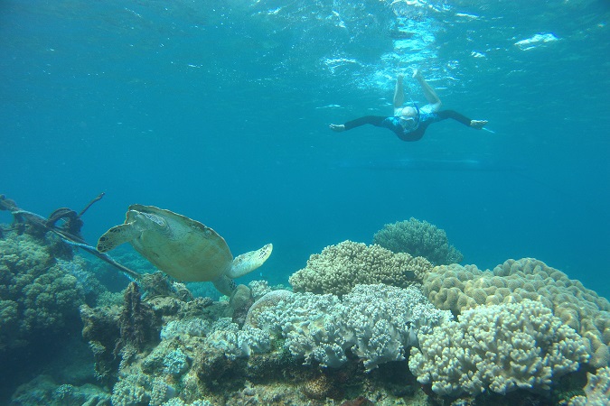 L'alta biodiveristà maldiviana rende spettacolare le attività di snorkeling.