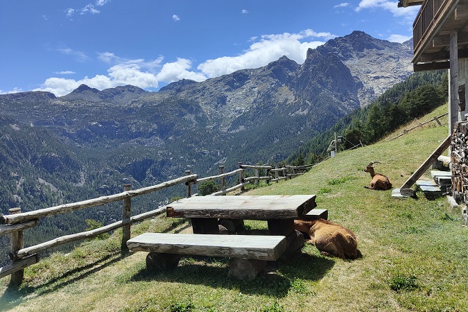 L'alpeggio di Pra Oursie nel Parco naturale Mont Avic.