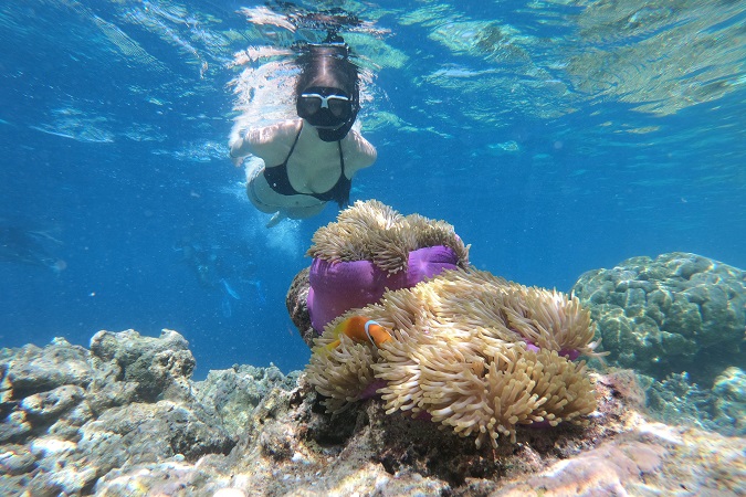 Marsa Alam consente avvistamenti interessanti anche ai non sub grazie all'estensione e alla ricchezza della sua barriera.