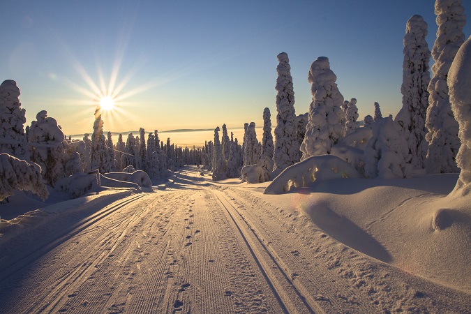 Nella Lapponia finlandese, a fine novembre, si può contare su circa 5 ore di luce.