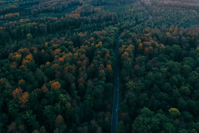 La Foresta Nera è la regione della Germania in cui la natura selvaggia tedesca incontra la tradizione e la leggenda.