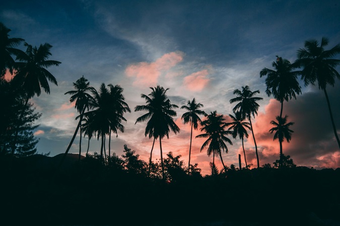 Nella mente dei viaggiatori le Seychelles finiscono per confondersi con altri paradisi tropicali in una continuità di sole e corallo senza differenze. Ma le Seychelles non sono così!