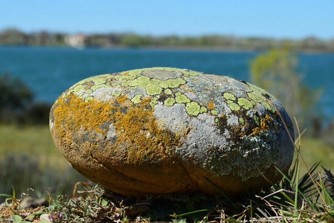 I sassi della Crau, pianura della Provenza che si estende tra le Alpilles, il Rodano e il mare.