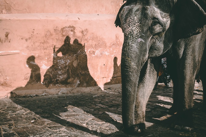 Jaipur, capitale del Rajasthan, è il punto di partenza privilegiato per chiunque voglia visitare questa affascinante regione indiana.