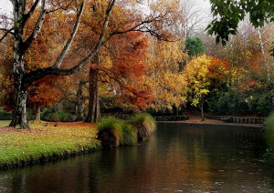 Rotorua (volo) Christchurch.jpg